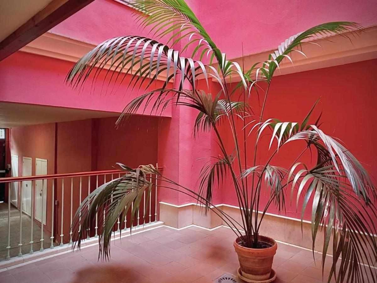 Apartamento Sauceda 7 Sevilla Eksteriør billede